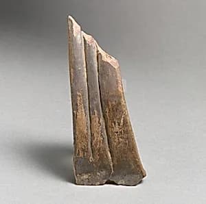 Vase fragment by Unknown Artist