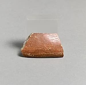 Vase fragment by Unknown Artist