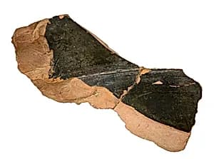 Volute-krater fragment by Unknown Artist