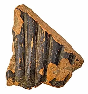 Volute-krater fragment by Unknown Artist