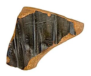 Volute-krater fragment by Unknown Artist