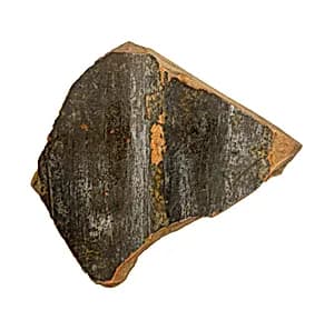 Volute-krater fragment by Unknown Artist