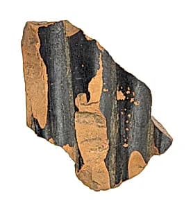 Volute-krater fragment by Unknown Artist
