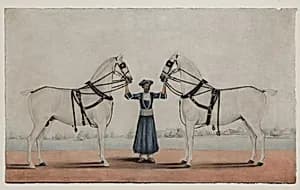 A Syce (Groom) Holding Two Carriage Horses by Shaikh Muhammad Amir of Karraya