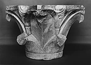 Capital by Unknown Artist