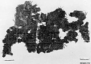 Carpet Fragment by Unknown Artist