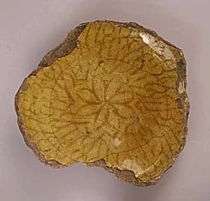Ceramic Fragment by Unknown Artist