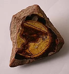 Ceramic Fragment by Unknown Artist