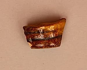 Ceramic Fragments by Unknown Artist