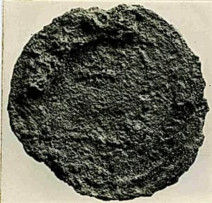 Coin by Unknown Artist
