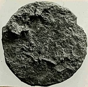 Coin by Unknown Artist