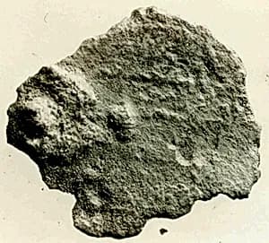 Coin by Unknown Artist