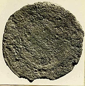 Coin by Unknown Artist