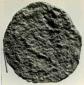 Coin by Unknown Artist