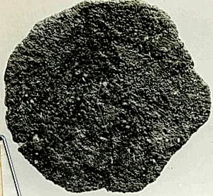Coin by Unknown Artist