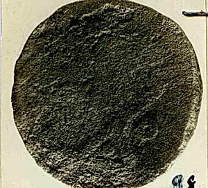 Coin by Unknown Artist