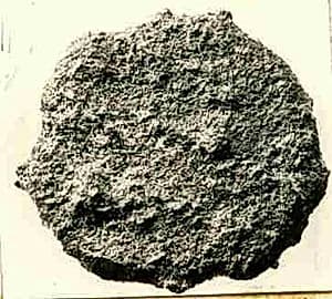 Coin by Unknown Artist