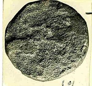 Coin by Unknown Artist