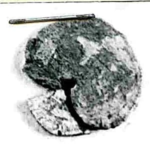 Coin by Unknown Artist