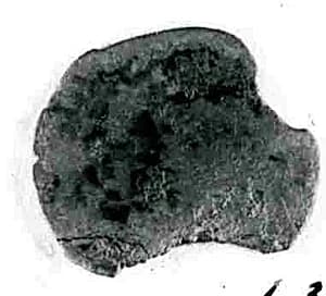 Coin by Unknown Artist