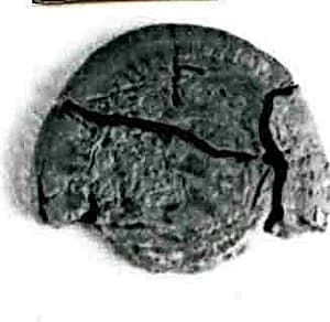 Coin by Unknown Artist
