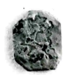 Coin by Unknown Artist