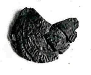 Coin by Unknown Artist