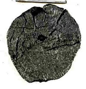 Coin by Unknown Artist