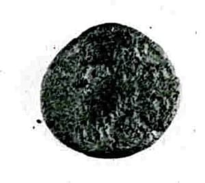 Coin by Unknown Artist