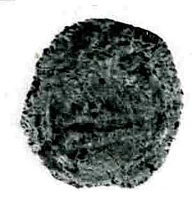 Coin by Unknown Artist
