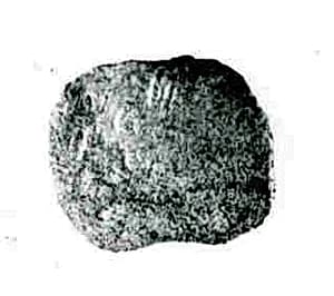Coin by Unknown Artist