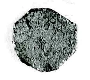 Coin by Unknown Artist