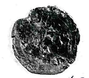 Coin by Unknown Artist