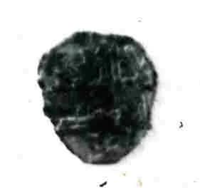 Coin by Unknown Artist