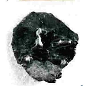 Coin by Unknown Artist