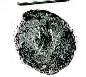 Coin by Unknown Artist