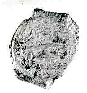 Coin by Unknown Artist