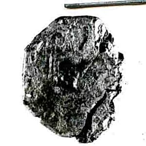 Coin by Unknown Artist