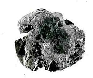 Coin by Unknown Artist