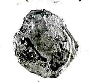 Coin by Unknown Artist
