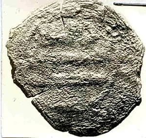 Coin by Unknown Artist