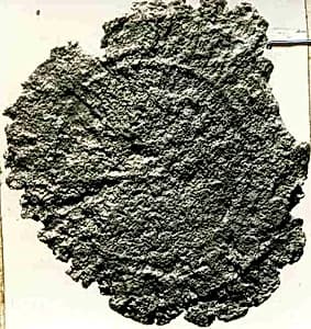 Coin by Unknown Artist
