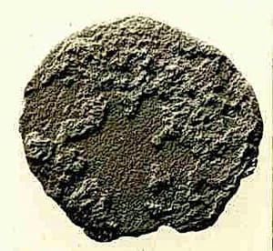 Coin by Unknown Artist