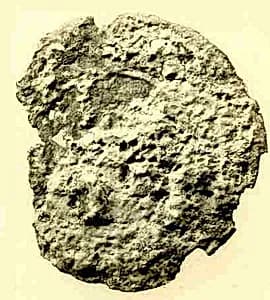 Coin by Unknown Artist