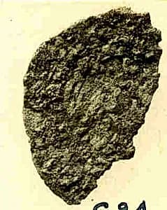 Coin by Unknown Artist