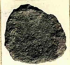 Coin by Unknown Artist