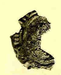 Coin by Unknown Artist