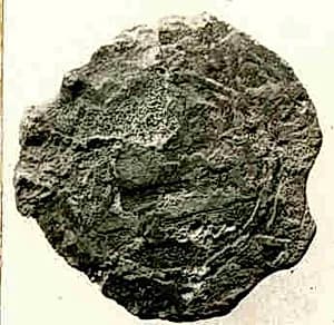 Coin by Unknown Artist