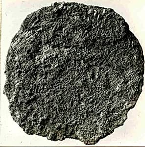 Coin by Unknown Artist