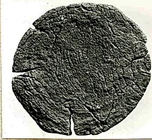 Coin by Unknown Artist